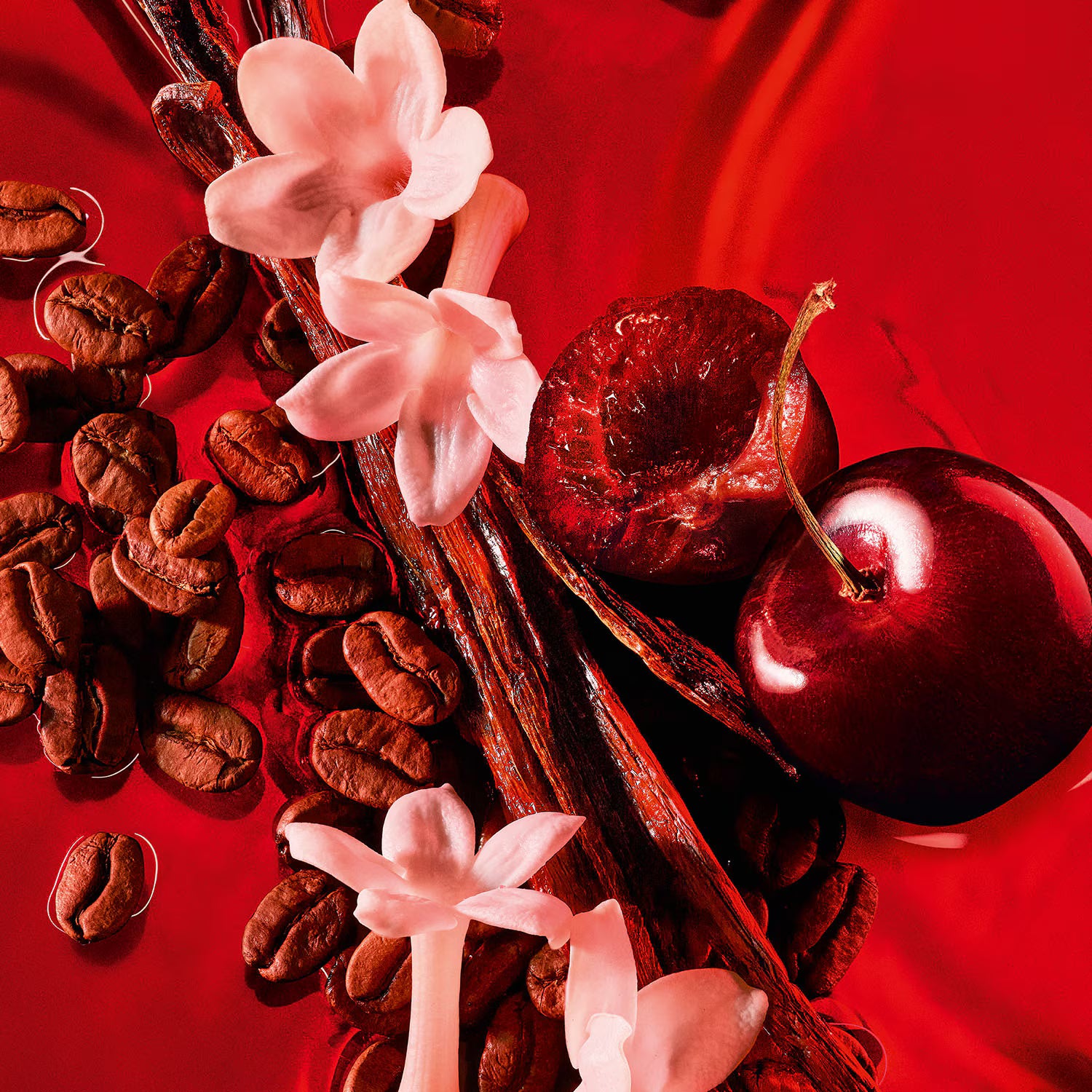 Black Opium Over Red