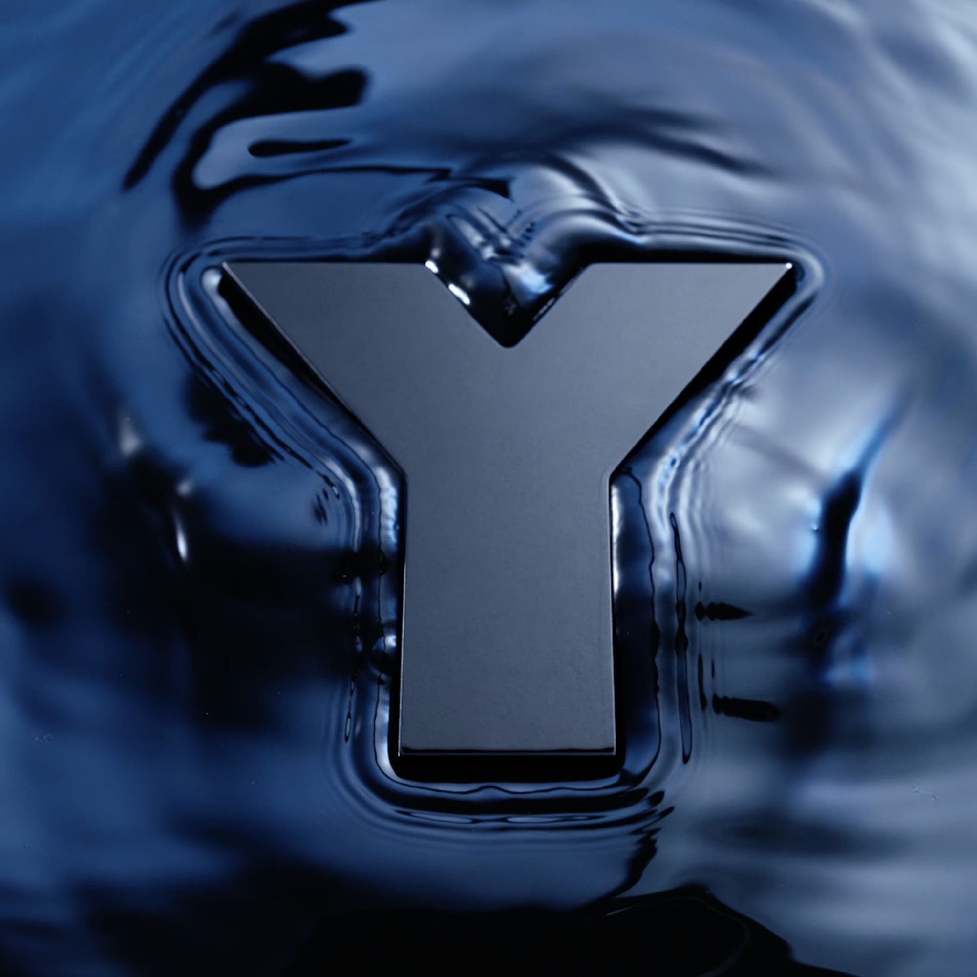 Y L'Elixir